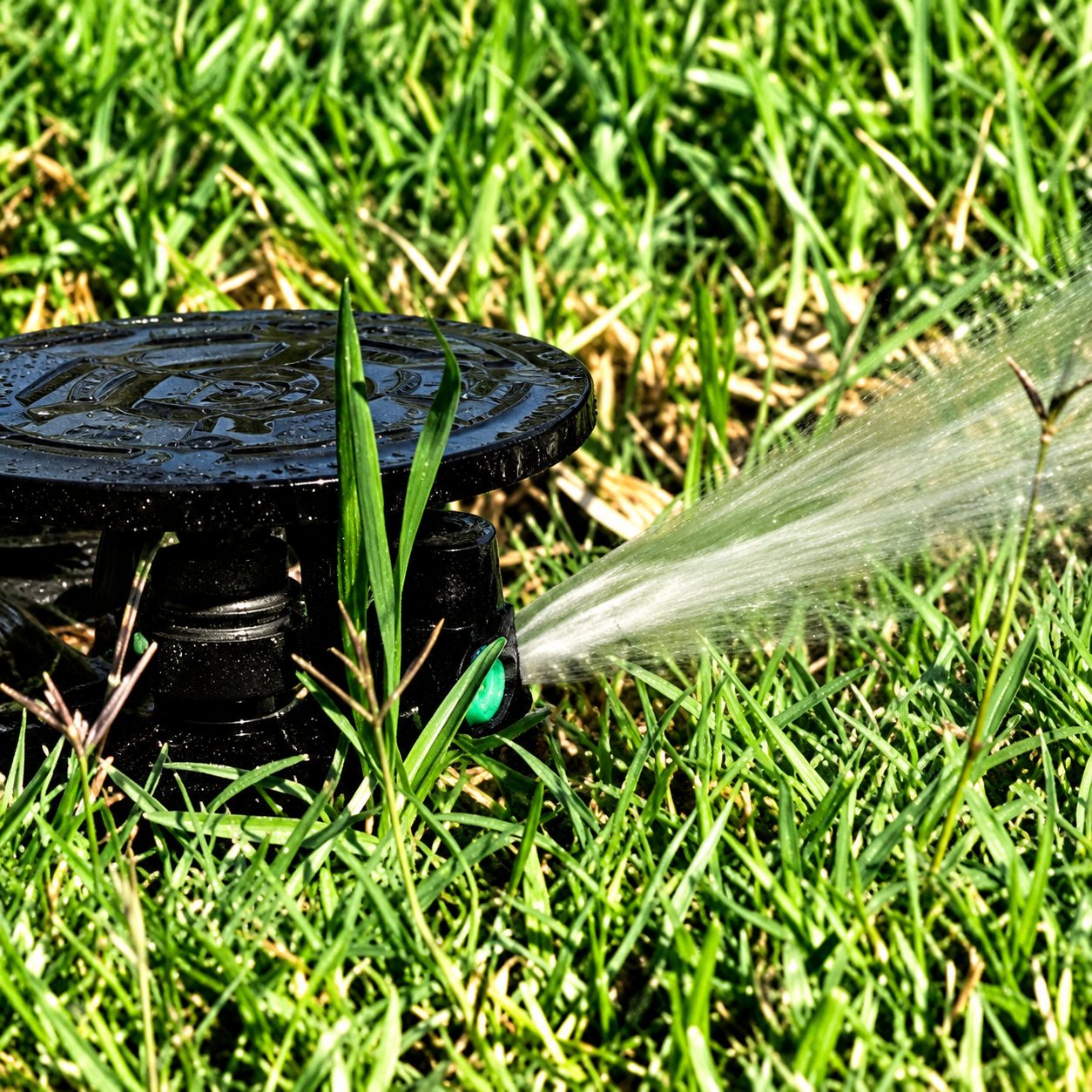 Gros plan sur un arroseur de jardin encastré dans l'herbe qui projette un jet d'eau sur la pelouse.