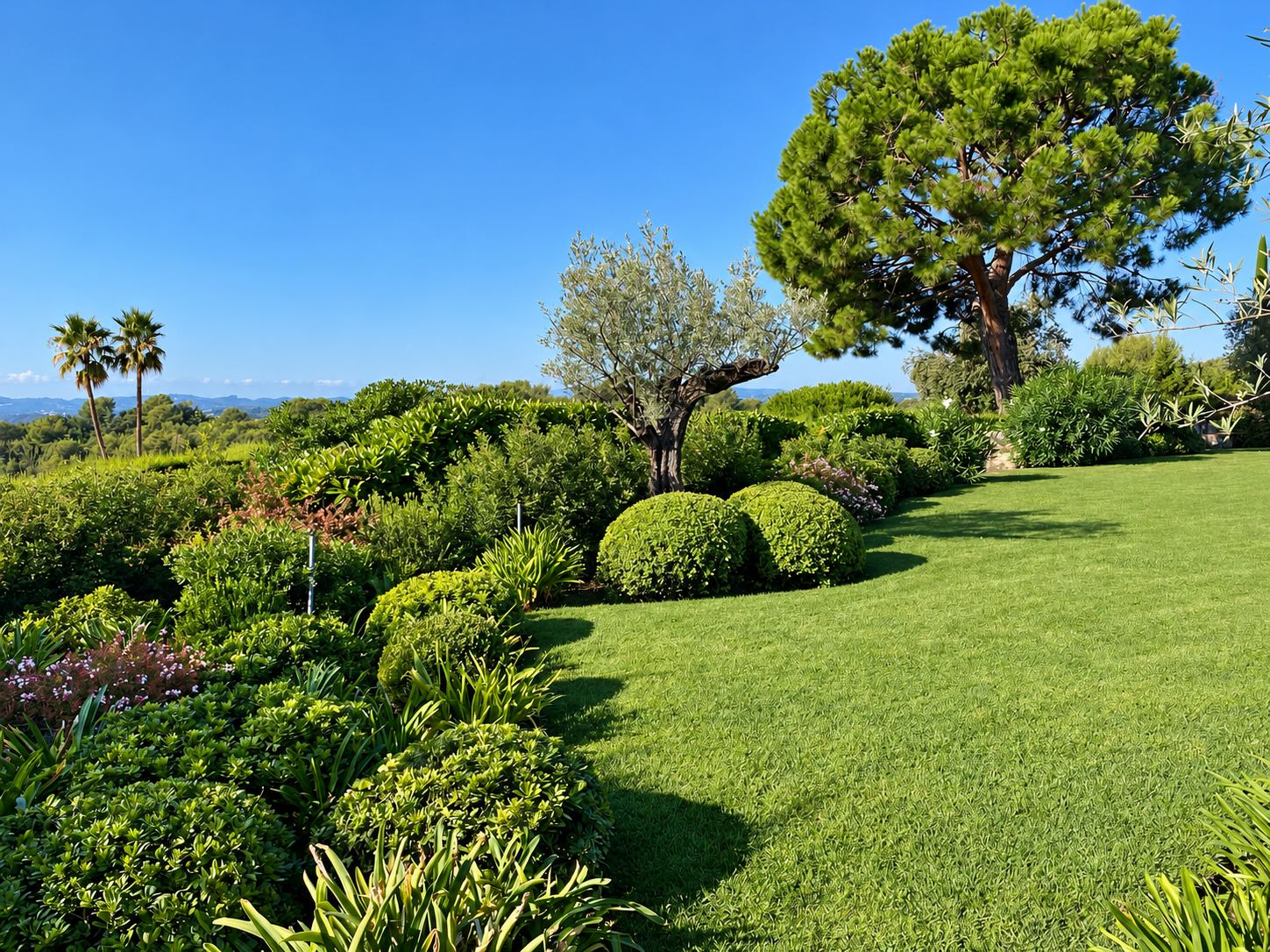 Un jardin méditerranéen soigné avec une grande pelouse, des arbustes taillés en boule, un olivier, un pin parasol et des palmiers sous un ciel bleu.