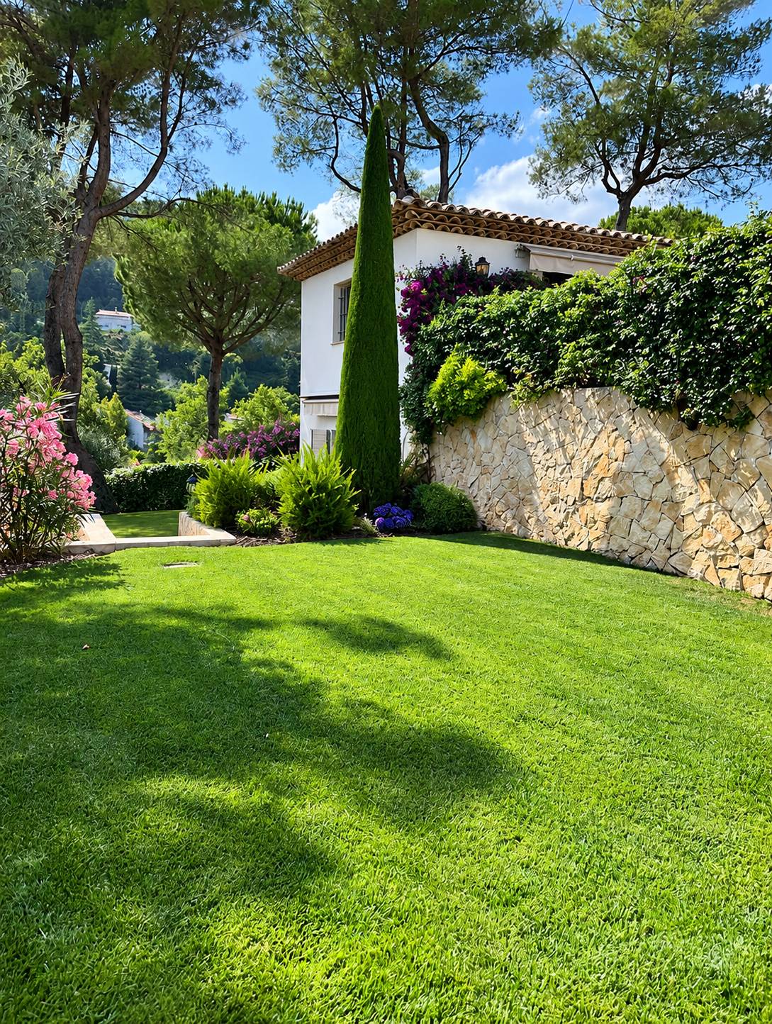 Un jardin méditerranéen soigné avec une pelouse bien verte, un grand cyprès, un muret en pierre couvert de végétation et une maison blanche au toit de tuiles.