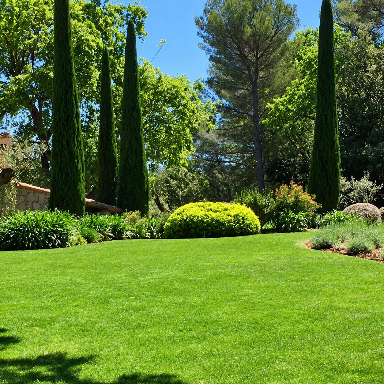 Un jardin méditerranéen bien entretenu avec une grande pelouse verte, des cyprès élancés, un arbuste arrondi jaune-vert et des pins en arrière-plan sous un ciel bleu.