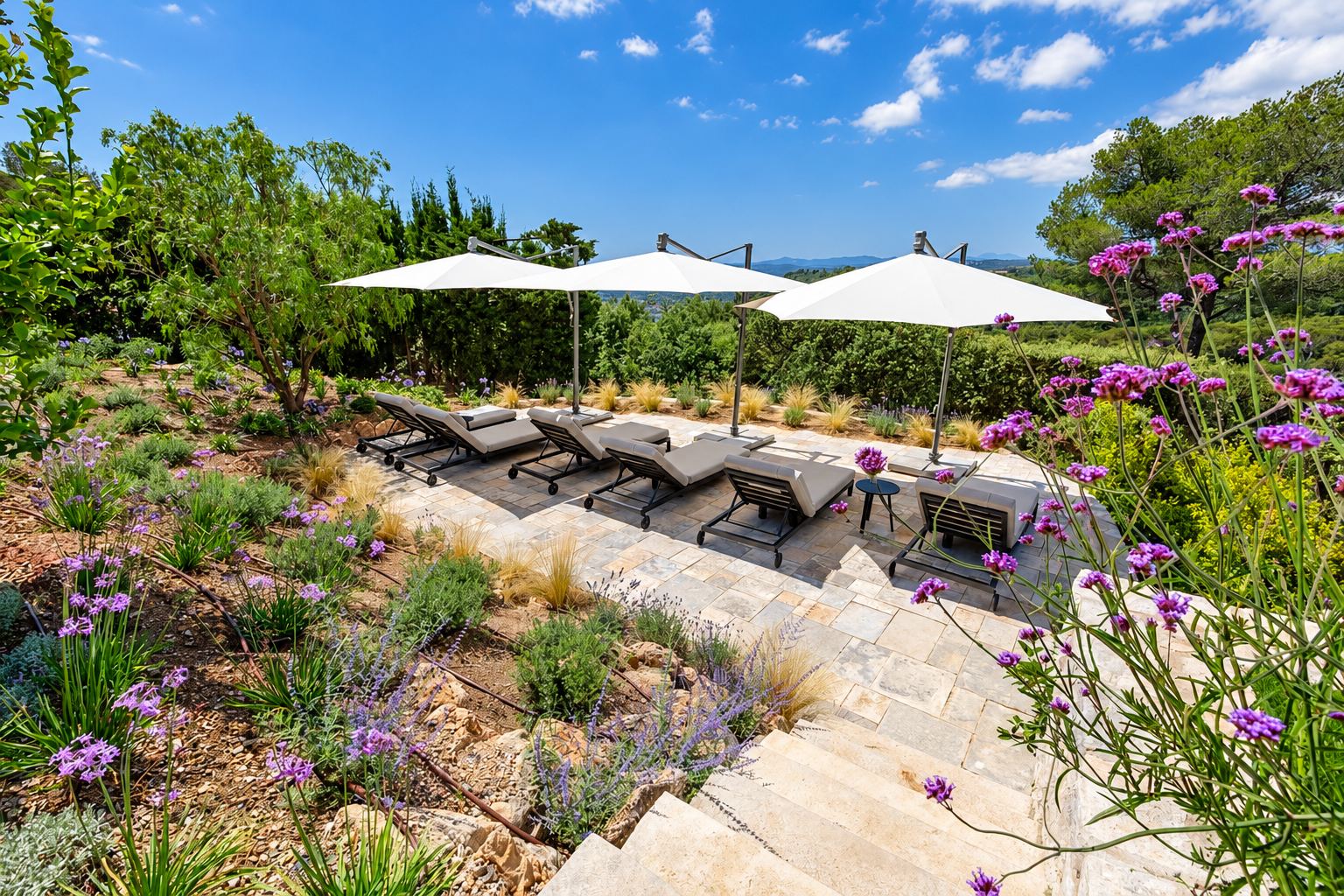 Terrasse dallée de pierre aménagée avec des bains de soleil gris et de grands parasols blancs, entourée d'un jardin méditerranéen fleuri de verveines et de lavandes.